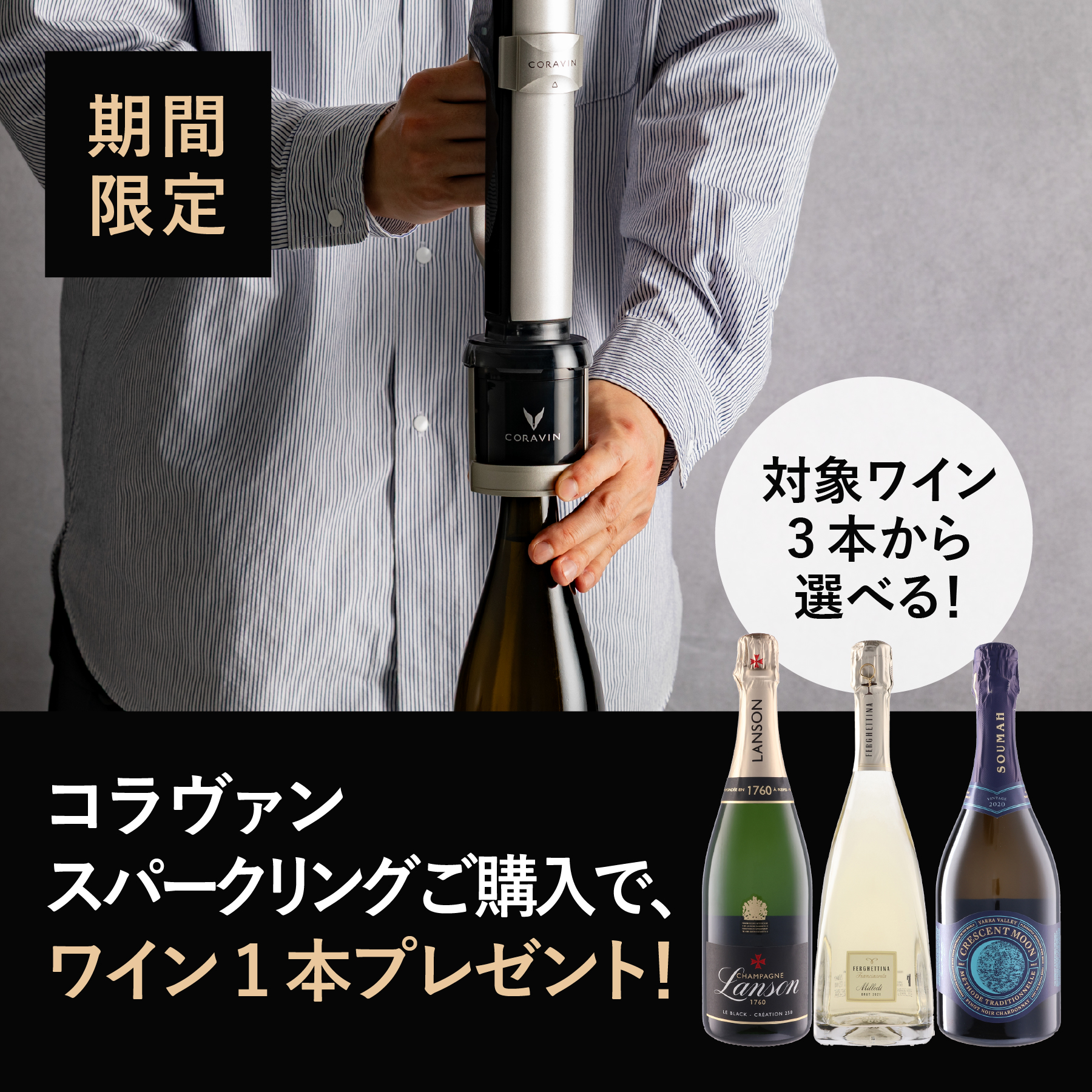 選べる特典プレゼント！