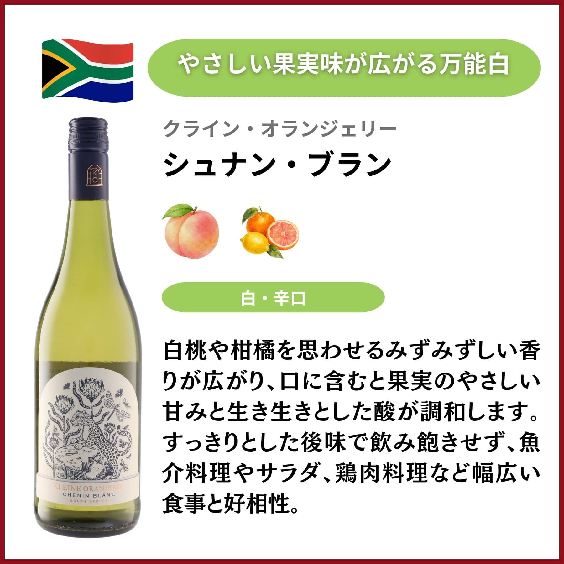 南アフリカのバリューワイン 飲み比べ5本セット