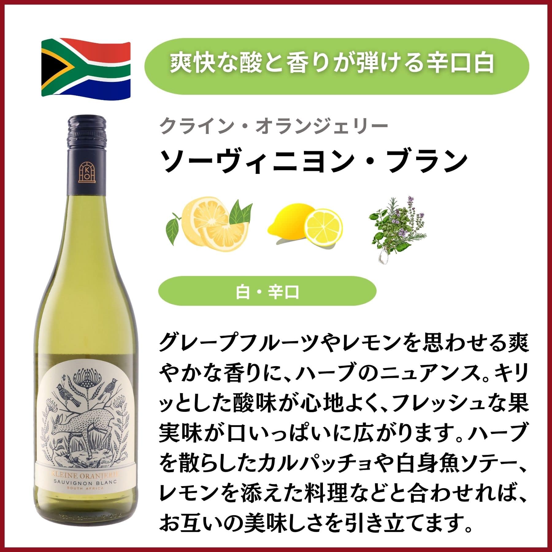 南アフリカのバリューワイン 飲み比べ5本セット