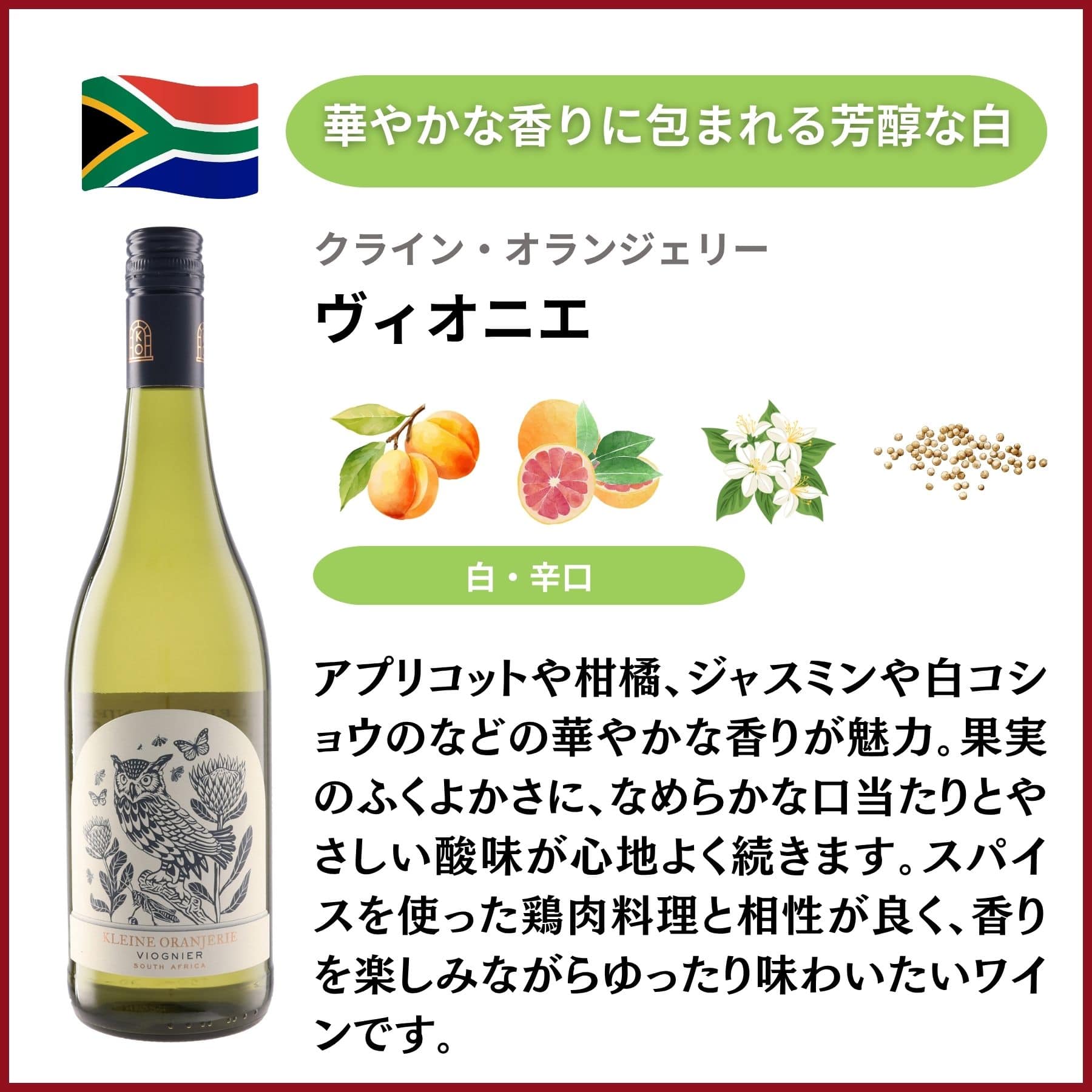 南アフリカのバリューワイン 飲み比べ5本セット