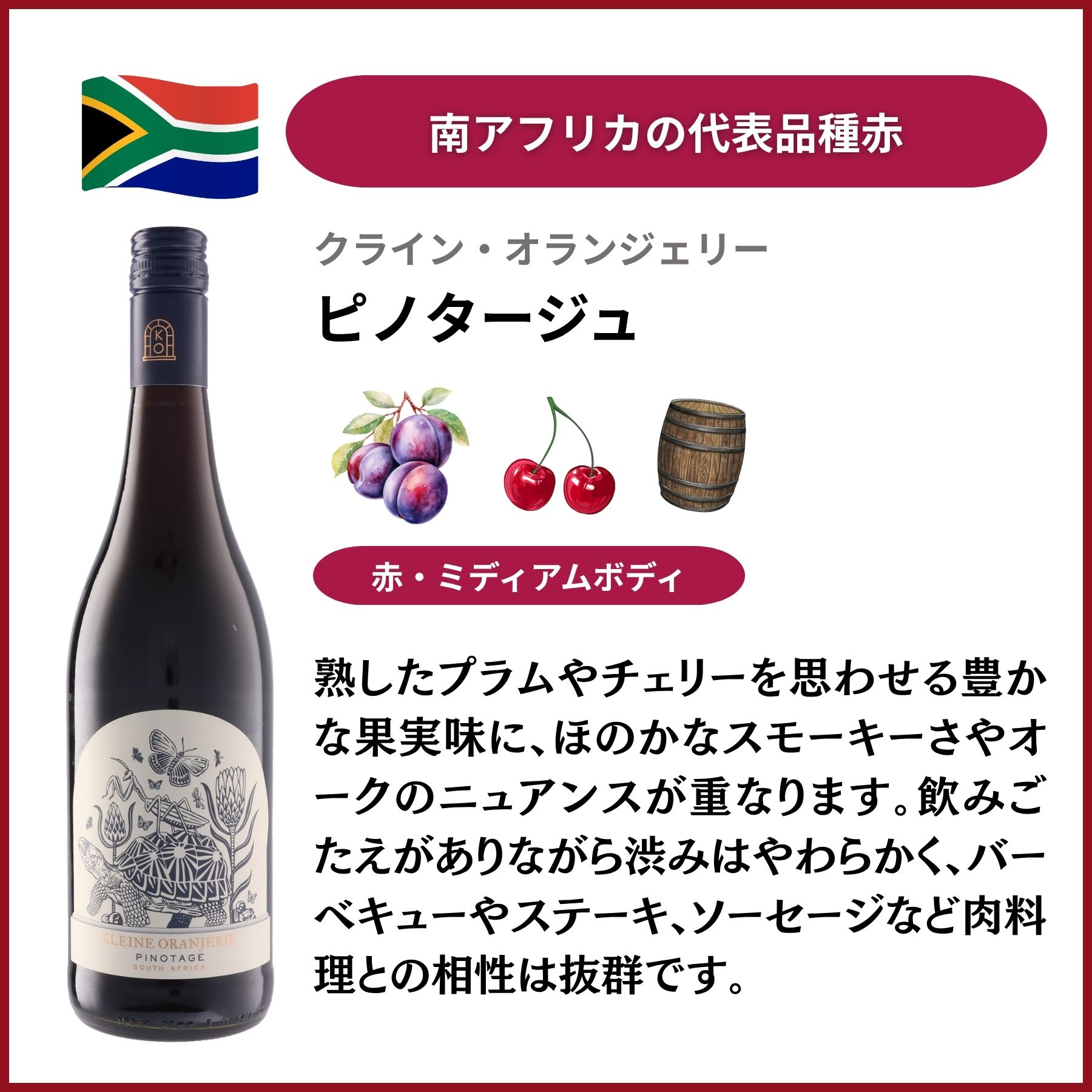 南アフリカのバリューワイン 飲み比べ5本セット