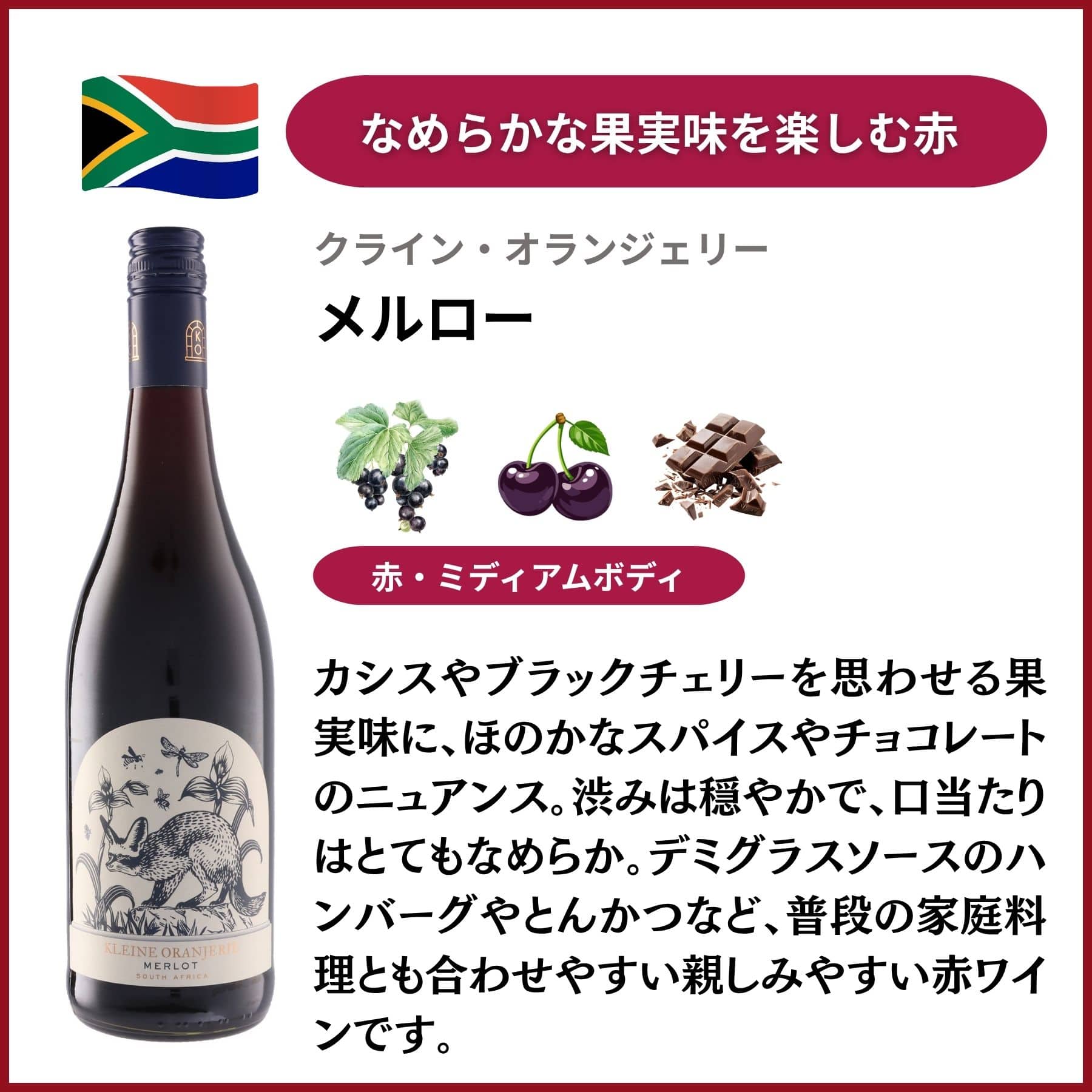 南アフリカのバリューワイン 飲み比べ5本セット