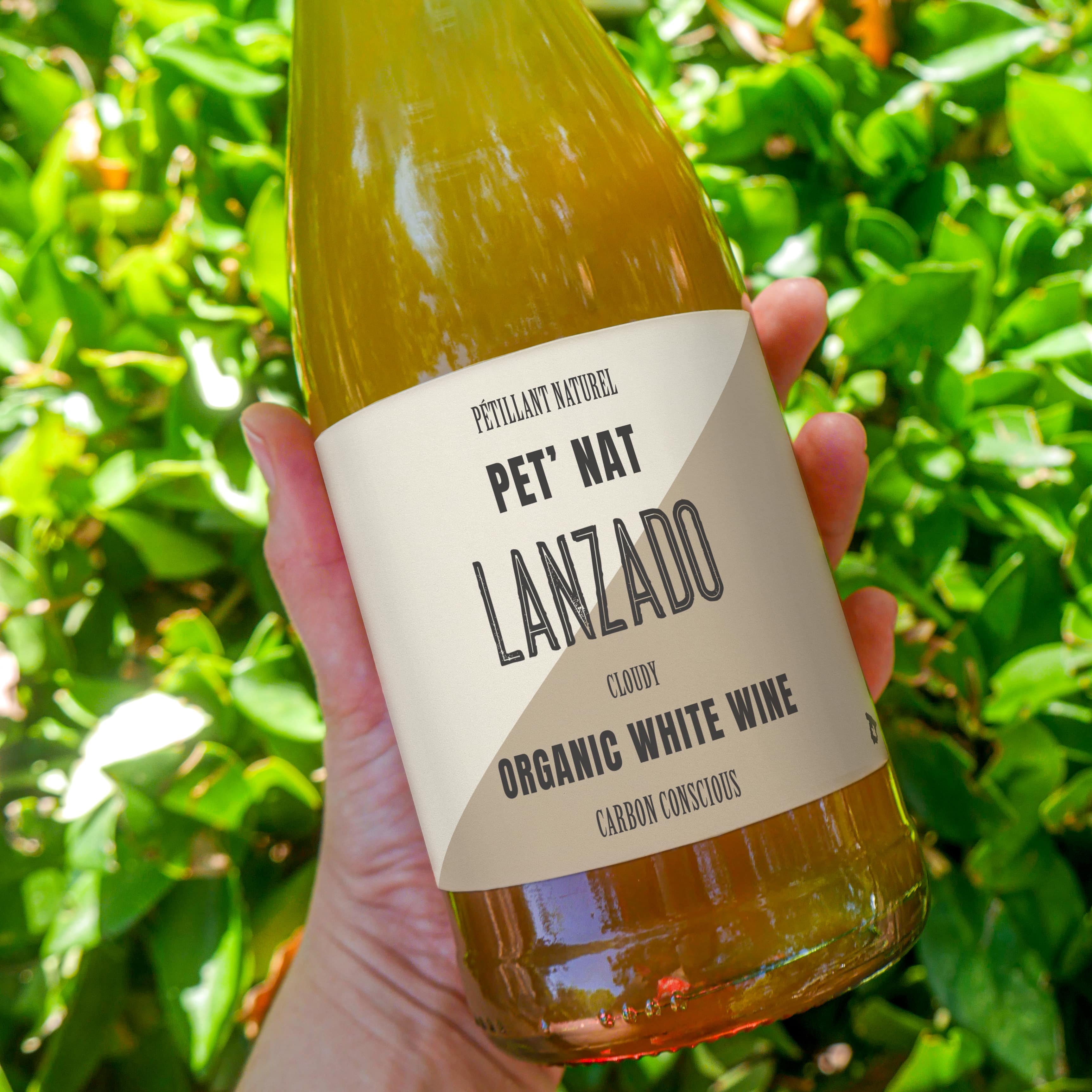 手にボトル持った画像
