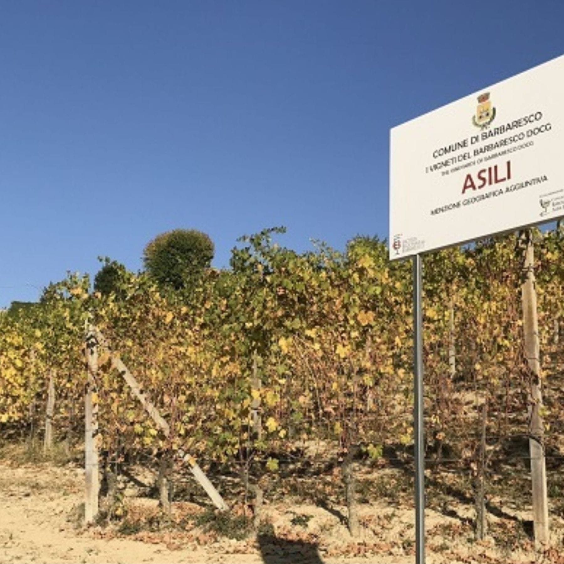 ヴァッレグランデ