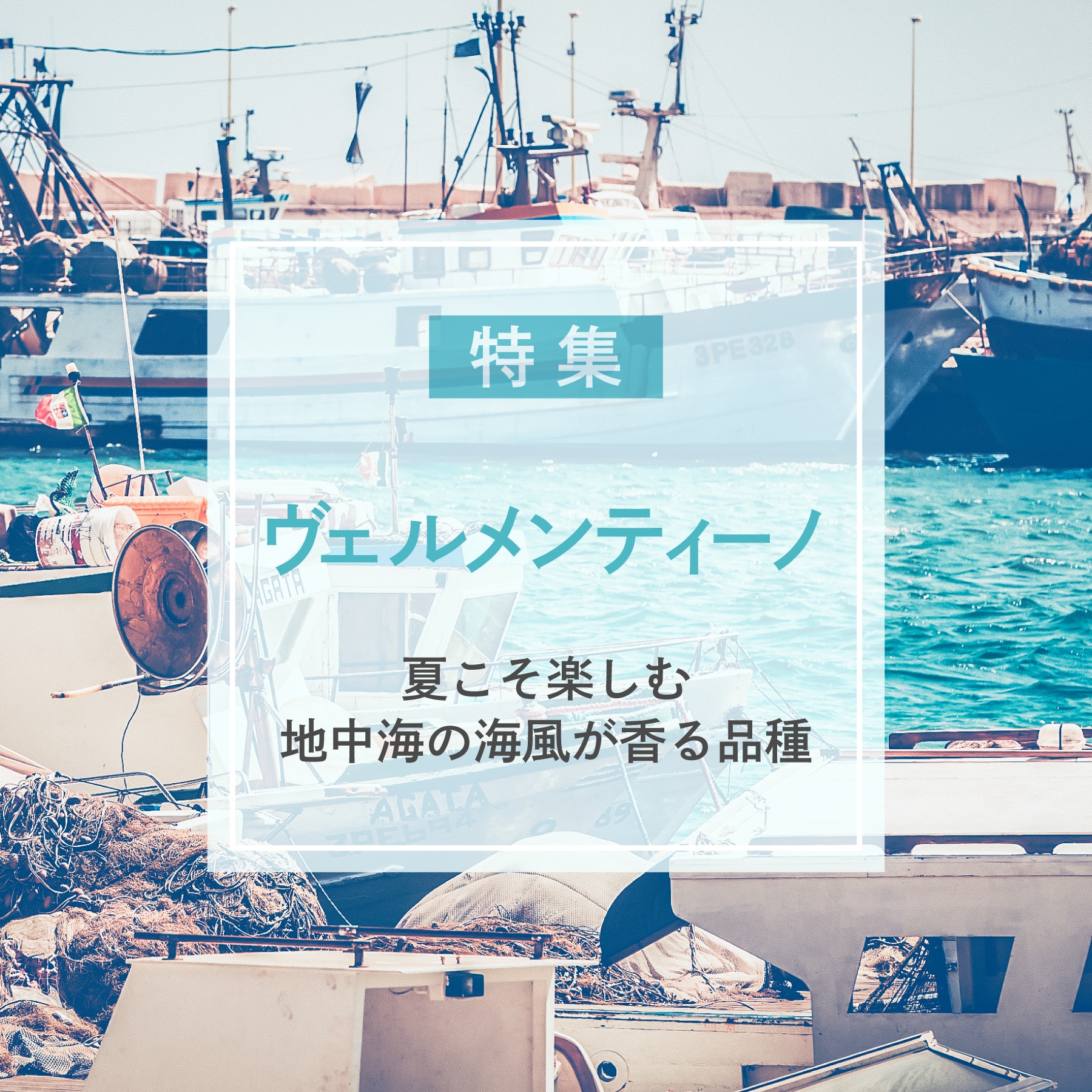 夏を涼やかにする白ワイン　ヴェルメンティーノ特集