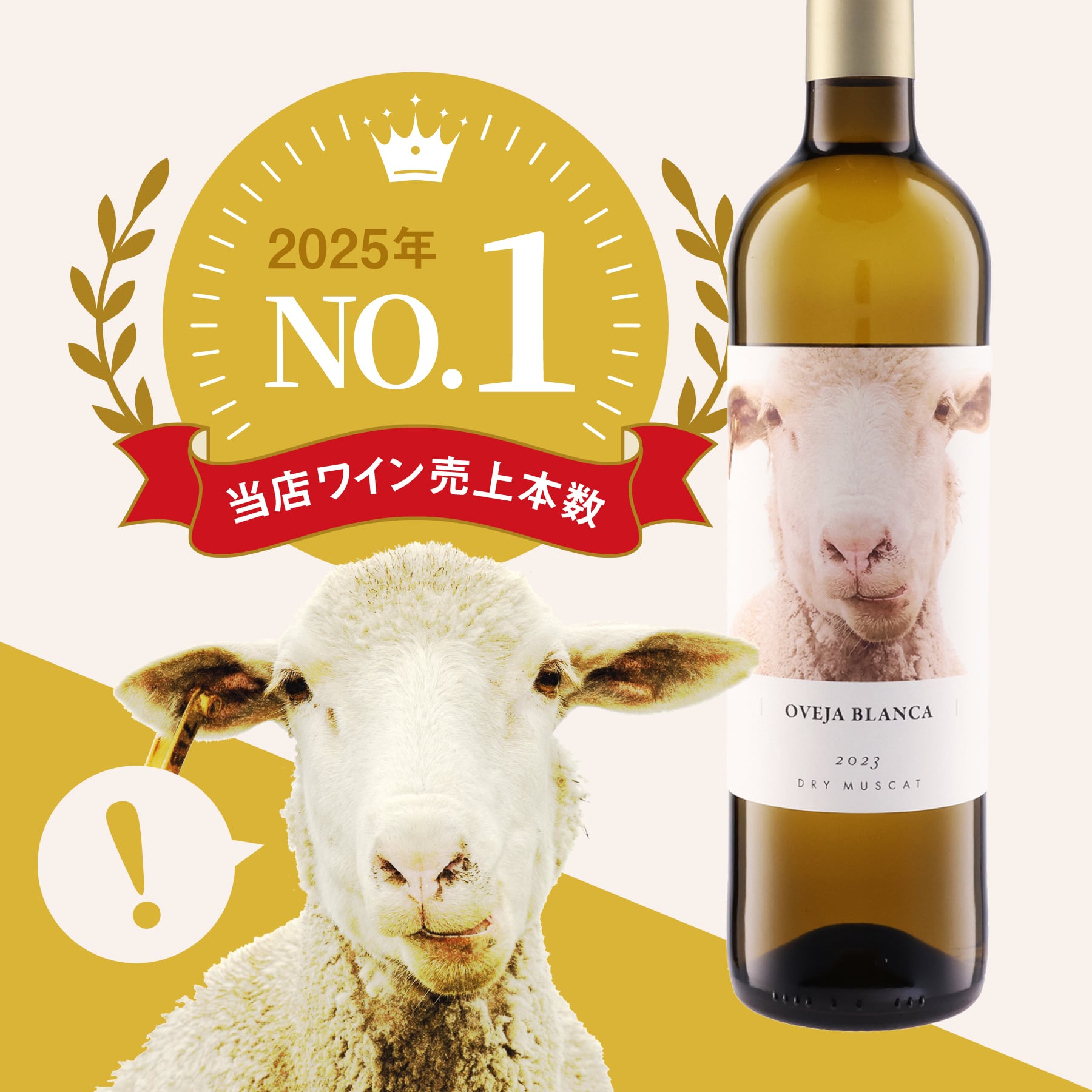 安くて美味しい白ワイン オベハブランカ