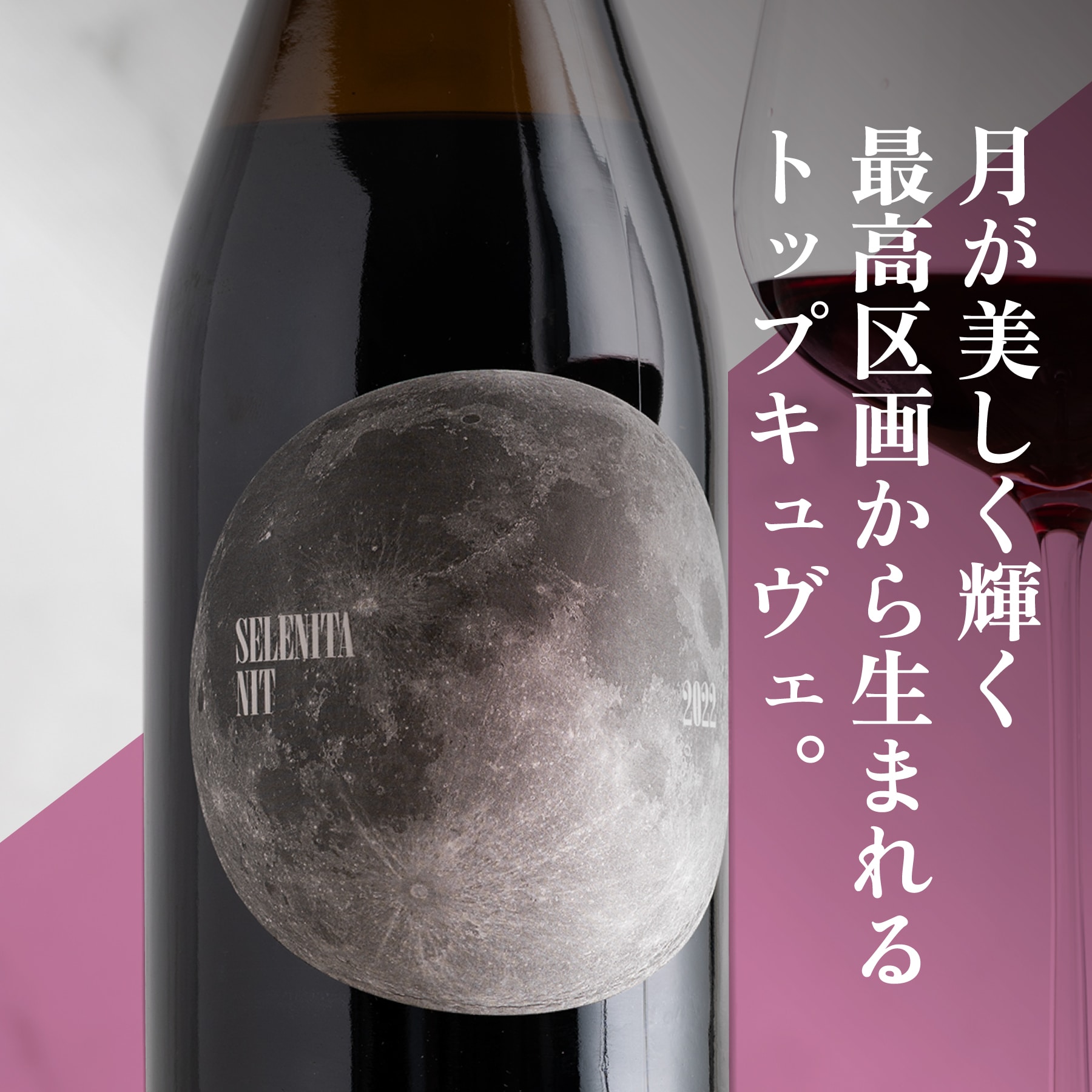 セレニータ ニット