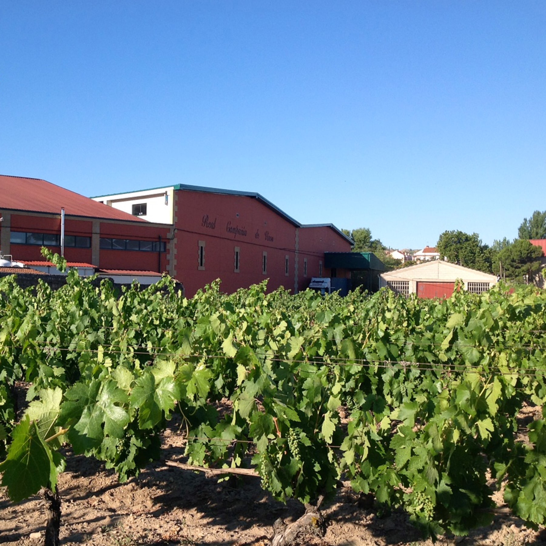 画像を入れます