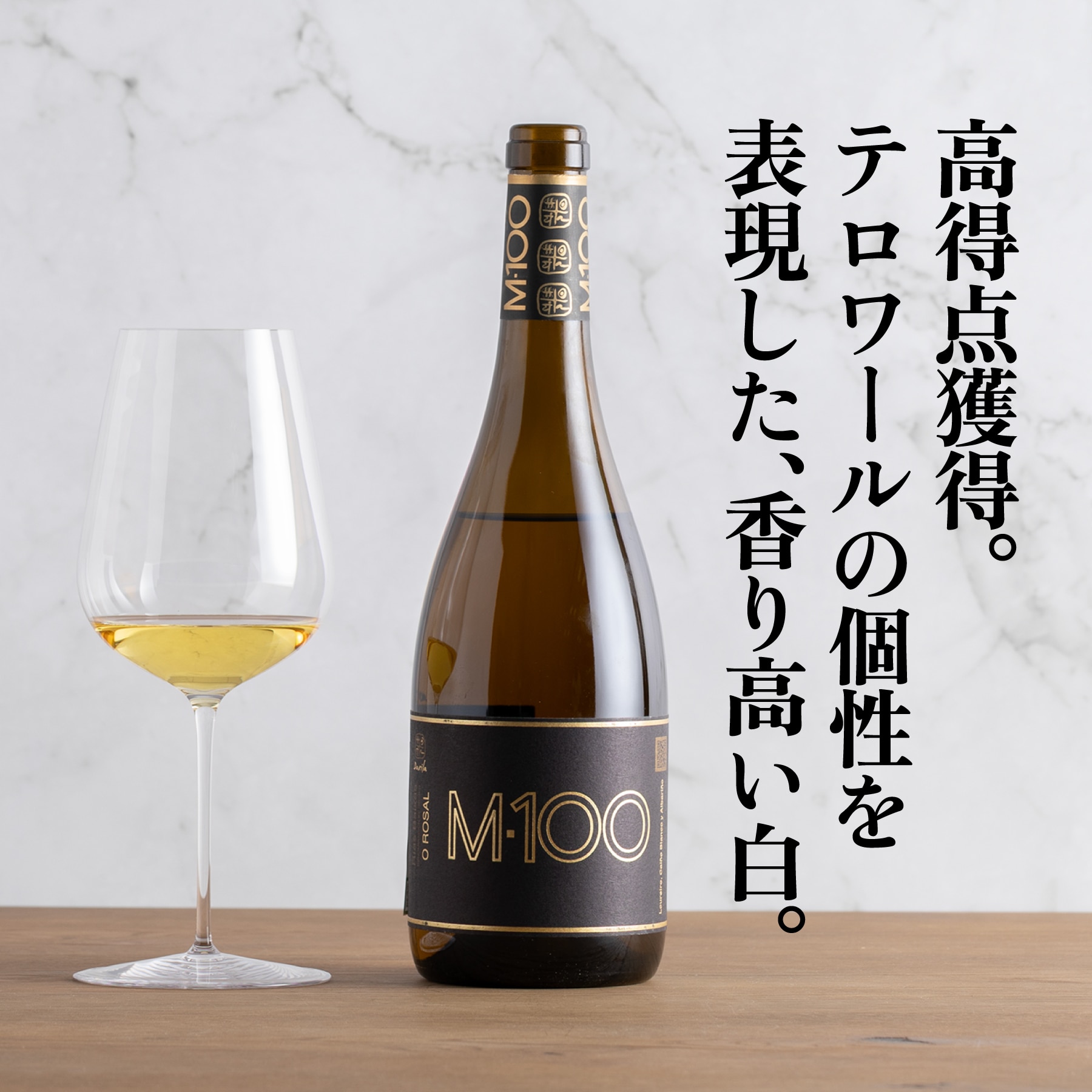 アデガス･バルミニョール M-100