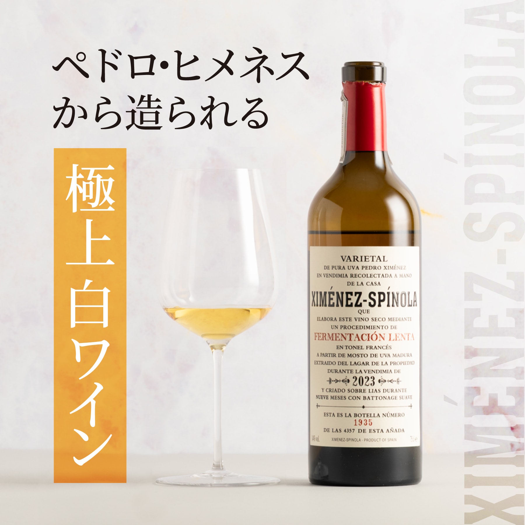 フェルメンタシオン･レンタバナー