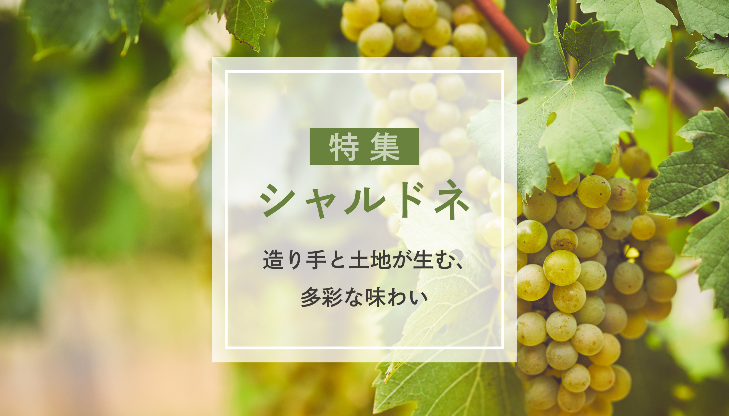 シャルドネ特集